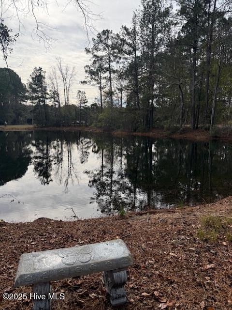 8 North Dr, Rocky Point, NC 28457 - photo 3