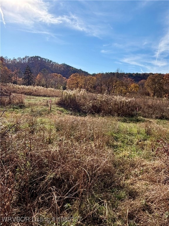 TBD Cr 4730, Hagarville, AR 72839 - photo 7