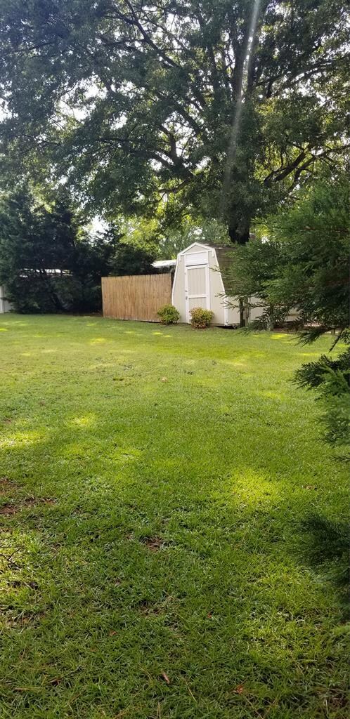 Shed View