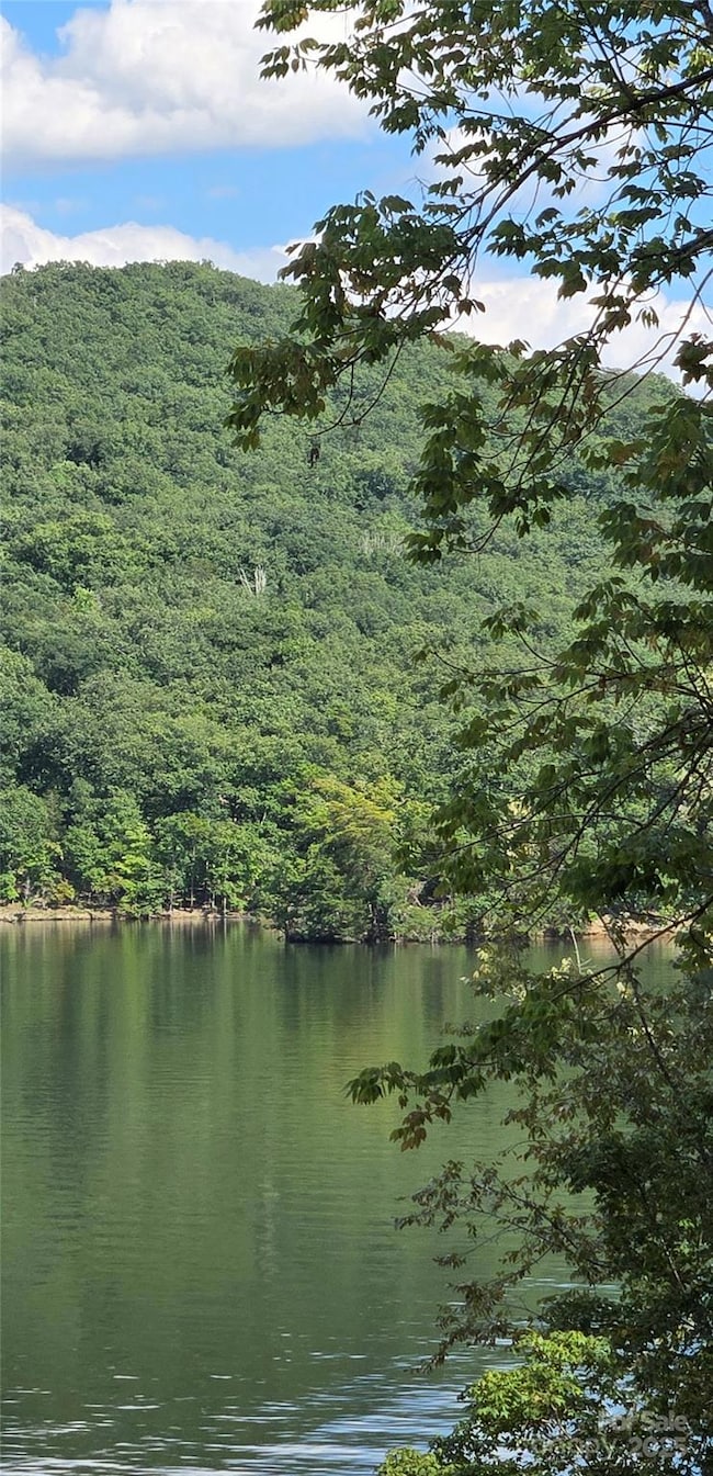 0 Shoreline Rd unit 107, New London, NC 28127 - photo 7