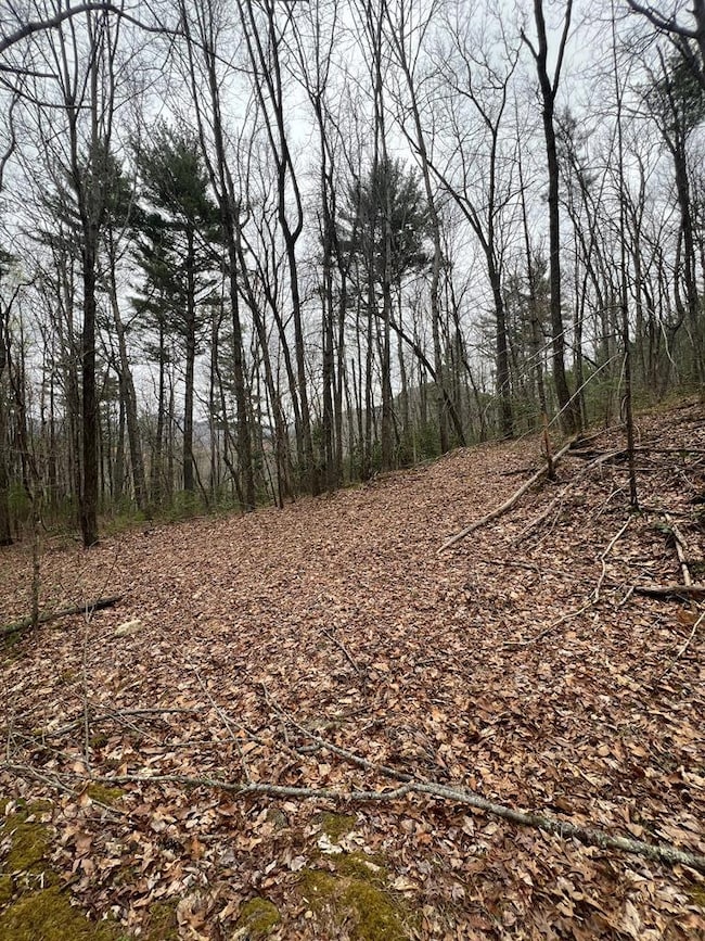 Tract 14 Eagles View, Highlands, NC 28741 - photo 3