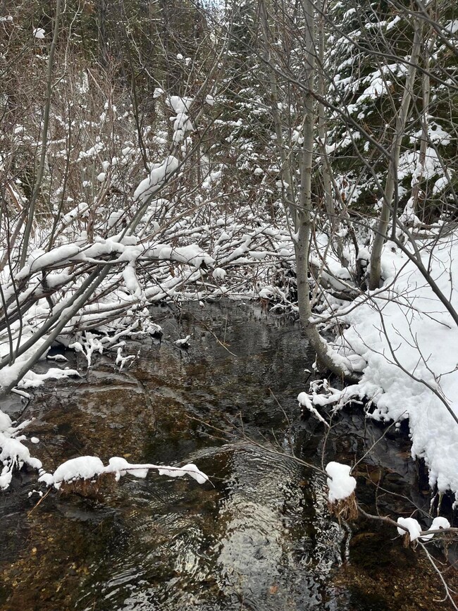 0 Olive Creek Rd unit 220175401, Granite, OR 97877 - photo 6