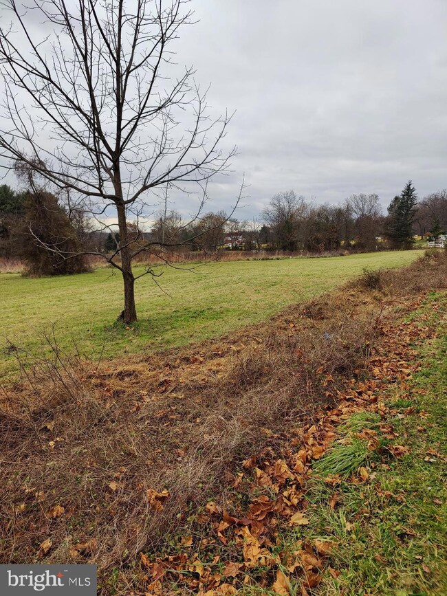 5087 Lower Mountain Rd, New Hope, PA 18938 - photo 5