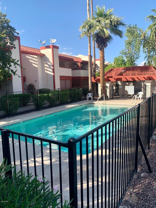 Community pool