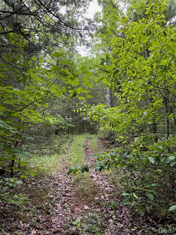 2244 Liberty Crossing Trail, Hillsboro, MO 63050 - photo 6