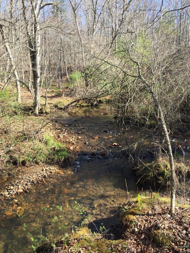 stream