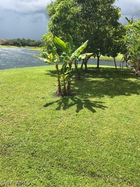 8069 Silver Birch Way, Lehigh Acres, FL 33971 - photo 4