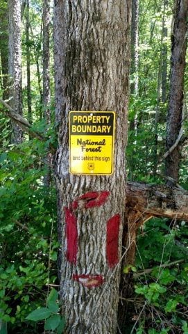 00 Dennis Mill Rd, Chatsworth, GA 30705 - photo 6