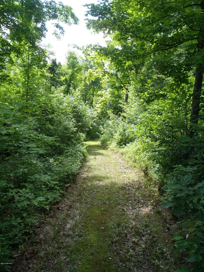 3388 4th St, Wayland, MI 49348 - photo 4