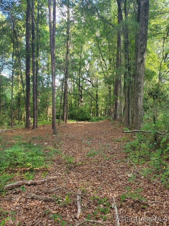 2.33 acres Parker Rd, Ozark, AL 36360 - photo 3