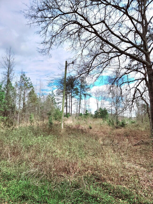 258 Smith ln Bowman