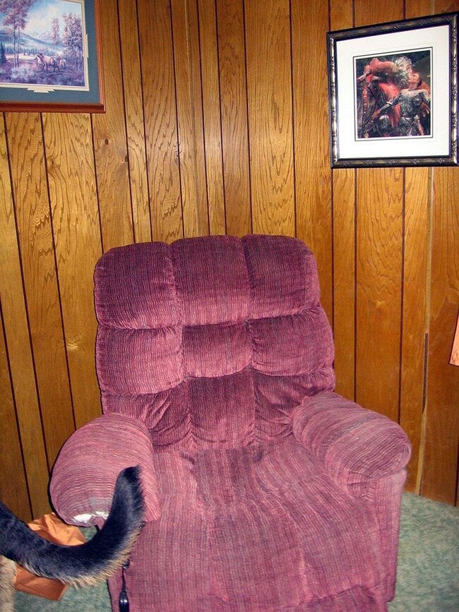 Additional Photo