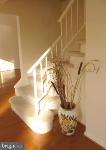 8630 Reseca Ln, Springfield, VA 22152 - photo 5