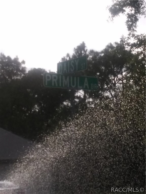 142 Daisy St, Homosassa, FL 34446 - photo 5