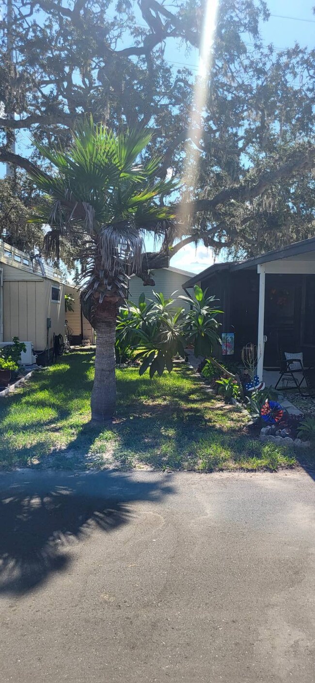 8225 Arevee Dr unit 819, New Port Richey, FL 34653 - photo 3