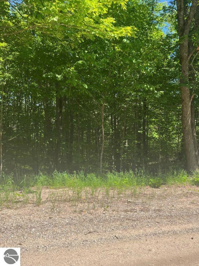 Parcel C No 45 Rd, Manton, MI 49663 - photo 2