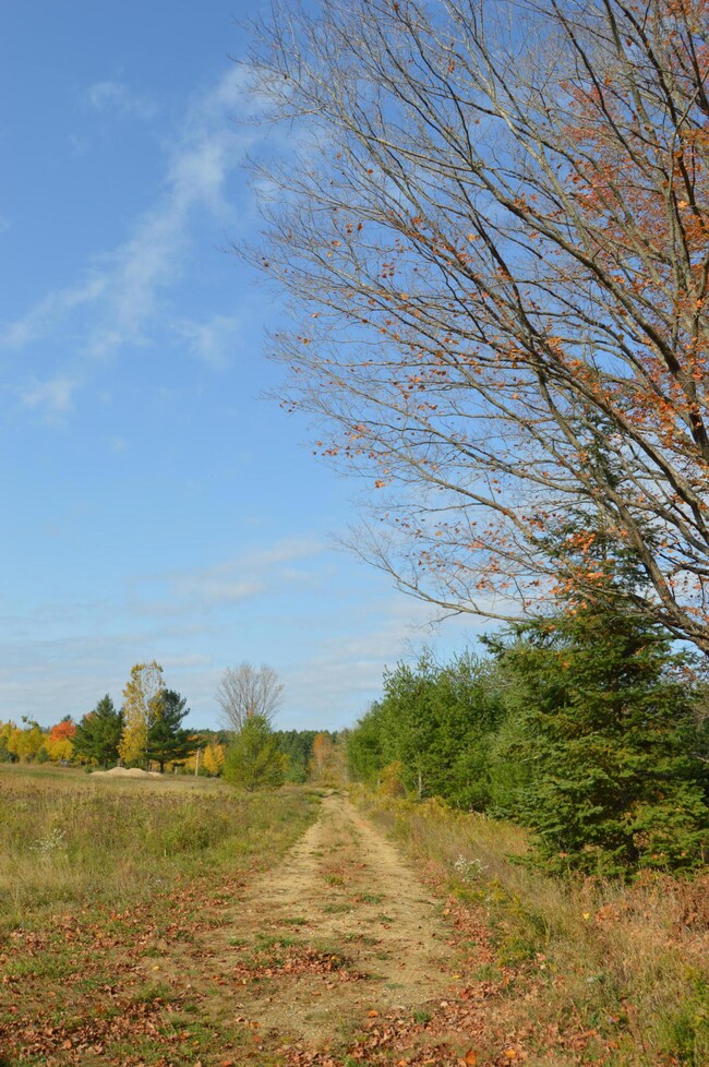 DSC_0025 (1)