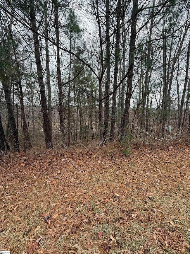 208 Wedge Way, Travelers Rest, SC 29690 - photo 2