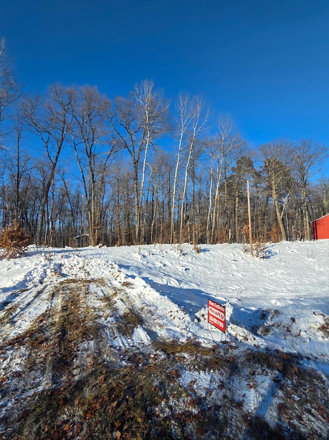 TBDxx Lake Ave, Shamrock Township, MN 55760 - photo 2