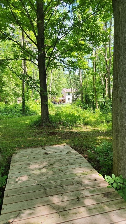 Backyard woods with bridge over seasonal stream