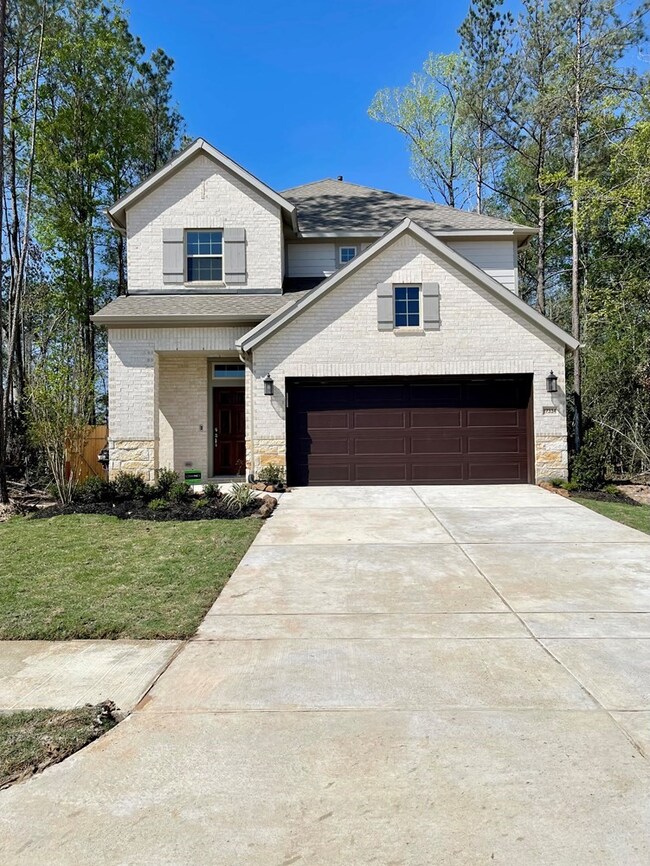 17334 Merlot Skies St, Woodloch, TX 77302 - photo 2