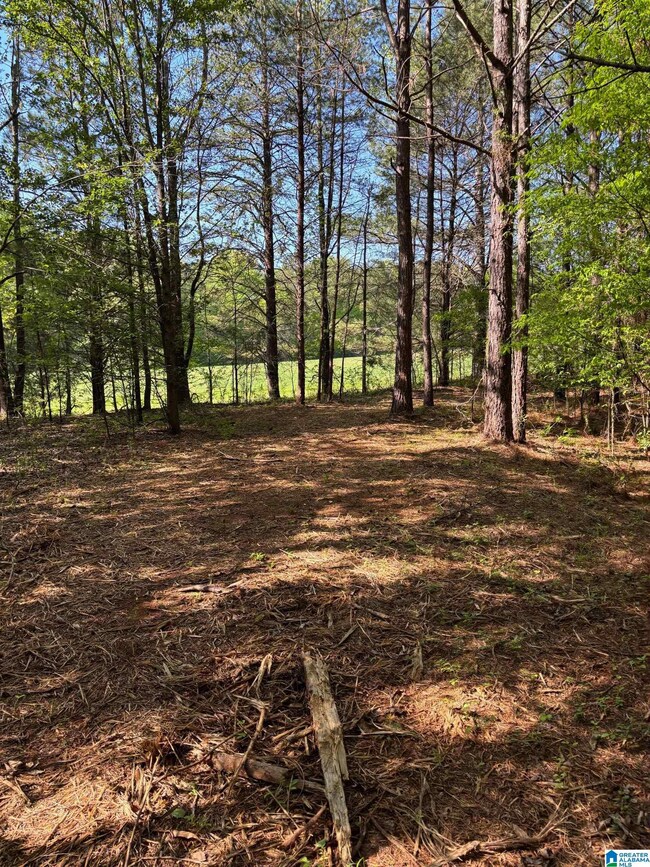 1401 Cobb Rd, Munford, AL 36268 - photo 6