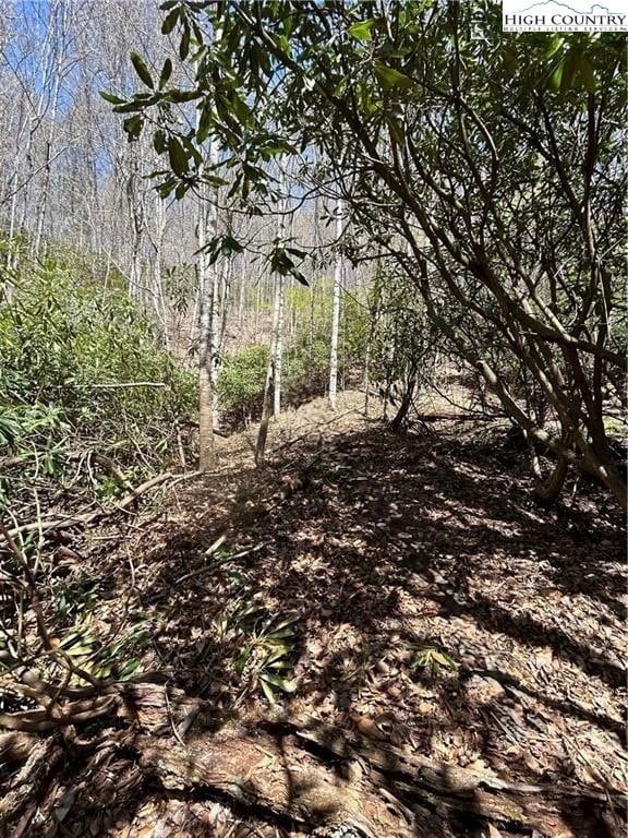 TBD Hwy 88 W, Creston, NC 28615 - photo 6