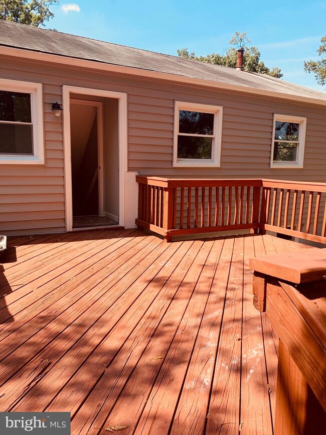 2111 Columbia Ave, Hyattsville, MD 20785 - photo 6