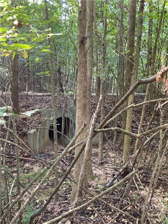 0 Bowers St unit LOT 1-8, Bowman, GA 30624 - photo 7