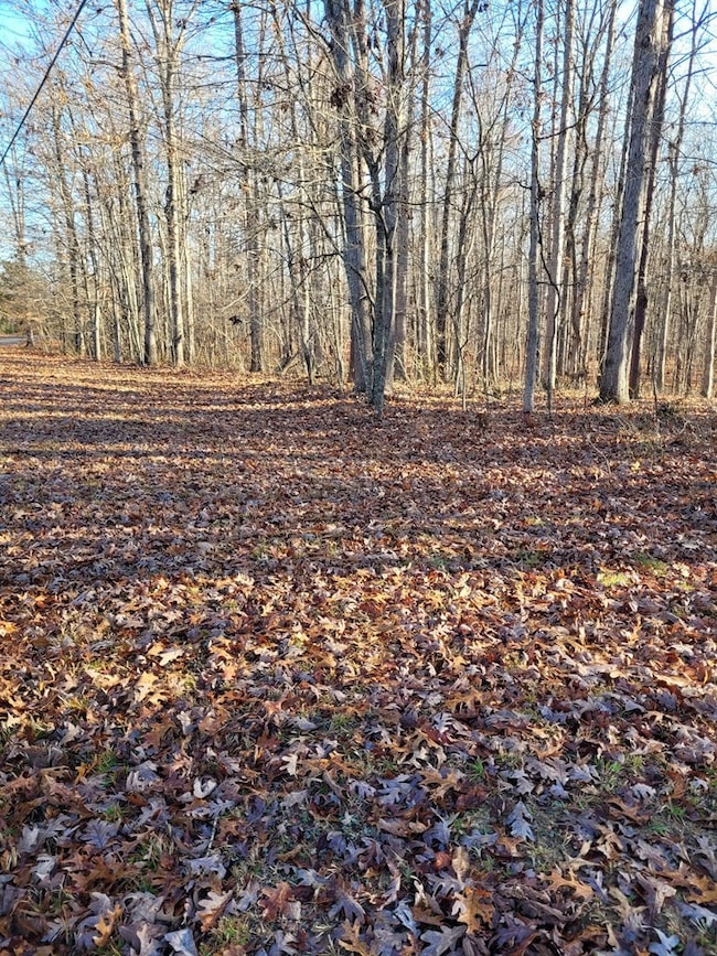 0 Hawks Bluff Rd unit RTC3051170, Spencer, TN 38585 - photo 3