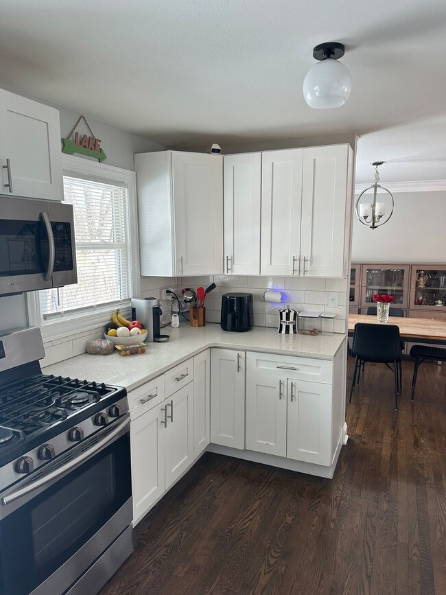 129 Tupelo Ave, Naperville, IL 60540 - photo 4