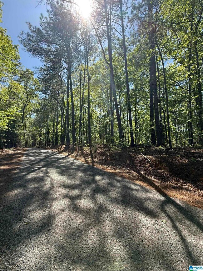 0 Vick Ln unit 21416150, Sylacauga, AL 35151 - photo 6