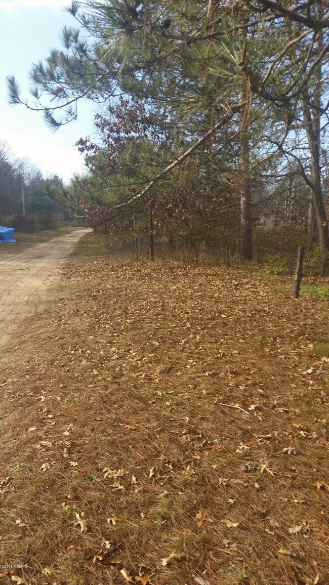 1821 W Warren Rd, Bitely, MI 49309 - photo 4