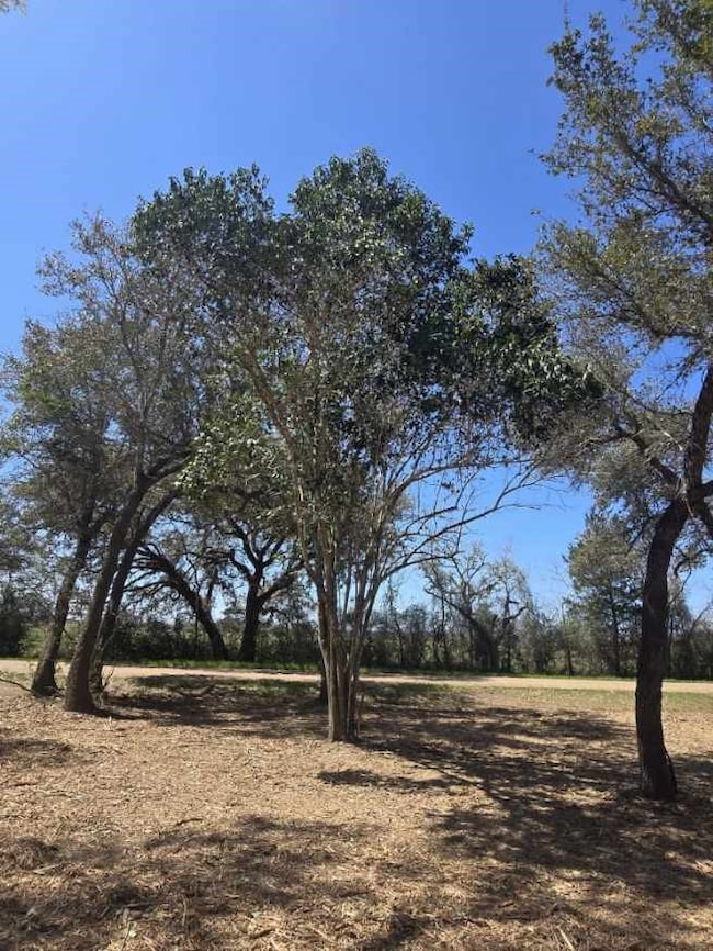 000 Tinkler St, Rock Island, TX 77470 - photo 3