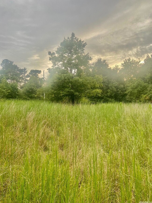 2053 Greene 624 Rd, Paragould, AR 72450 - photo 6