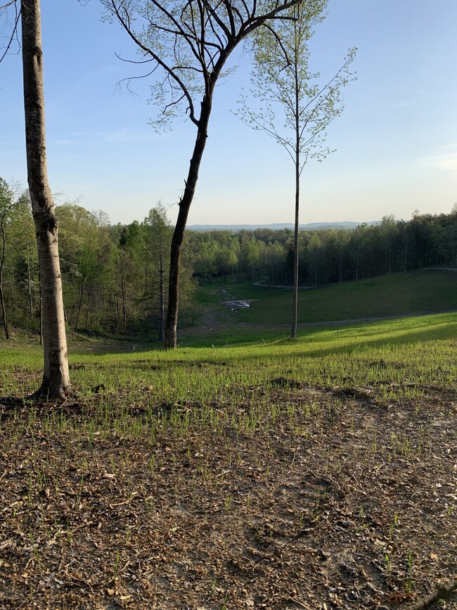 122 Mercy Ln, Cookeville, TN 38506 - photo 5