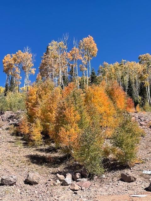 1015 Autumn Dr, Brian Head, UT 84719 - photo 4