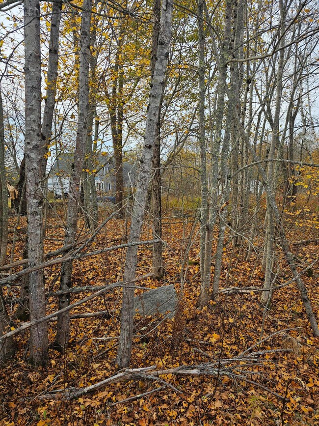 109 Main St, Franklin, ME 04634 - photo 5