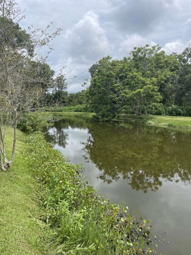 0 Loquat Ln unit MFRTB8428391, Sarasota, FL 34232 - photo 3