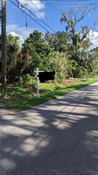 6015 Eureka Springs Rd, Tampa, FL 33610 - photo 7