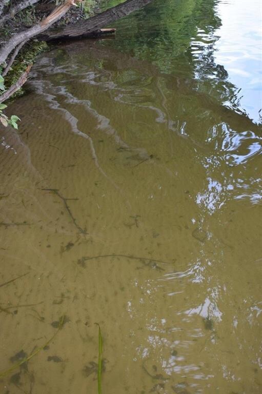 27950 County Road Ff, Webster, WI 54893 - photo 3