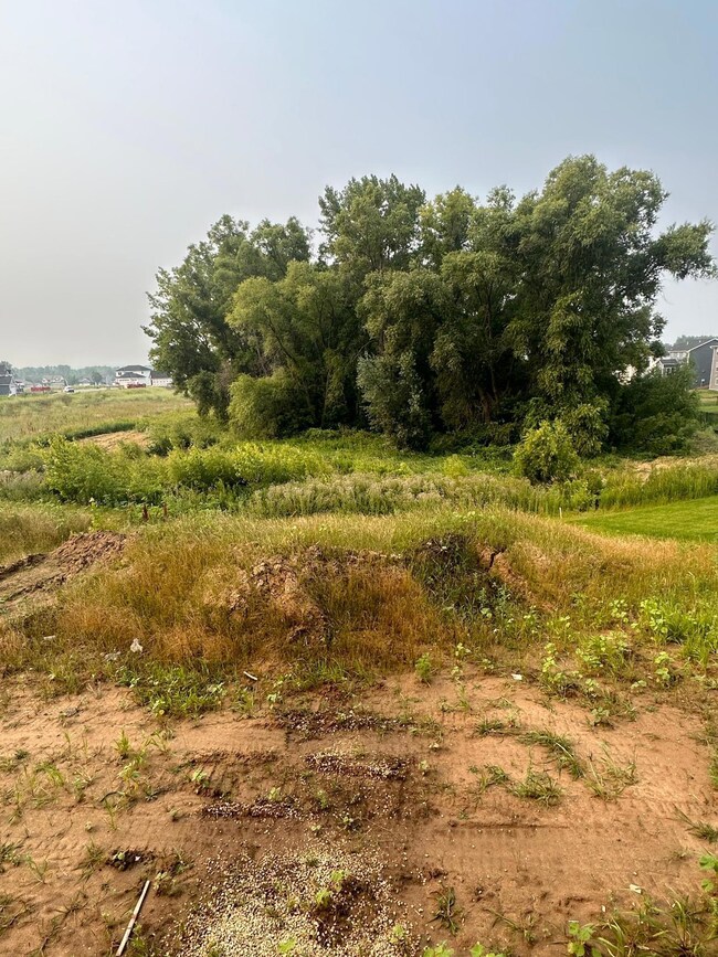 Views from the living room/main level! Rare find with new construction - protected wetlands directly behind the home. Backyard will eventually be graded with lots of space to enjoy the outdoors at home!