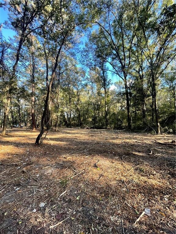 TBD Harvey Lavigne Rd, Ponchatoula, LA 70454 - photo 7