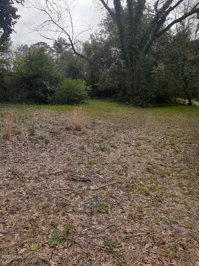 4518 Druid Back Yard 2