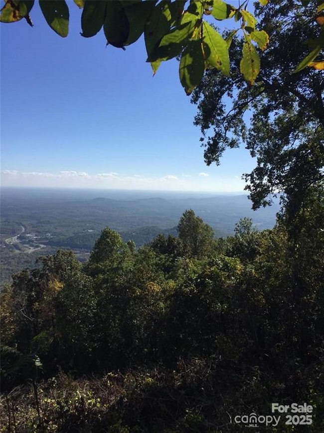 00 Morning Ride Dr unit 38, Columbus, NC 28722 - photo 4