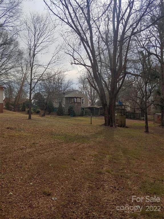 Great back yard + 50' x 100' extra