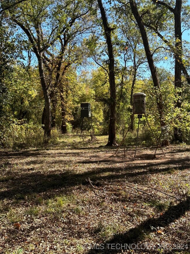 Feeders and Stands ready to hunt.