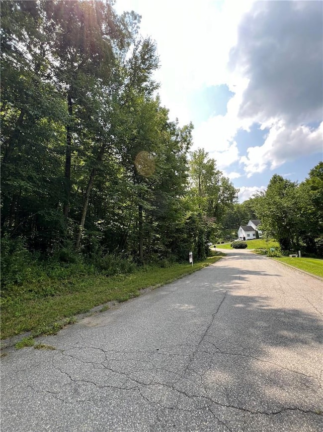 21 Michael Way, Patterson, NY 12563 - photo 3