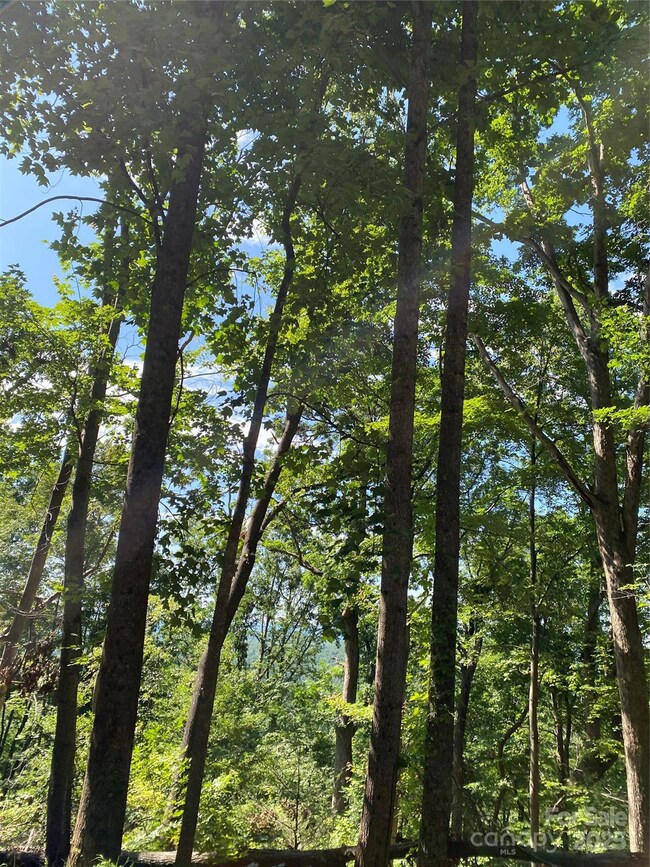 0 Winesap Blvd unit 81 CAR4297611, Lake Lure, NC 28746 - photo 5