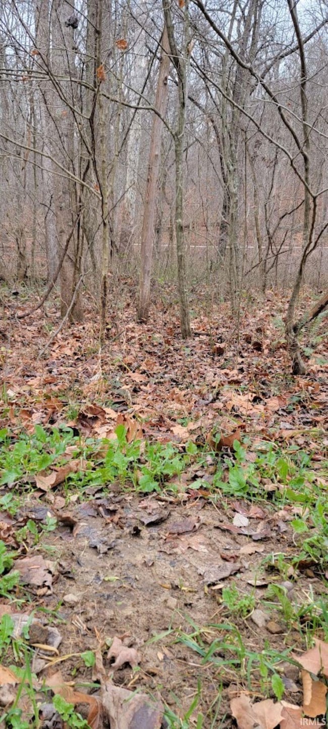 62.2 Acres Blanton Rd, Spice Valley Township, IN 47446 - photo 4